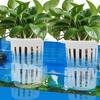 Держатель для аквариумных растений Плавающий горшок для водных растений для аквариума Аквапоническая фиксированная посадочная корзина для подводных посадок Пруд Ваза