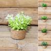 Миниатюрные растения бонсай, аксессуары, горшечные растения, декор, искусственные зеленые растения для кукольных домиков, настольная полка, мини-украшения для дома, мини-горшки для бонсай