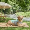 Heat  Breathability Heat Dissipation Dogs And Cats Back And Chest Strap