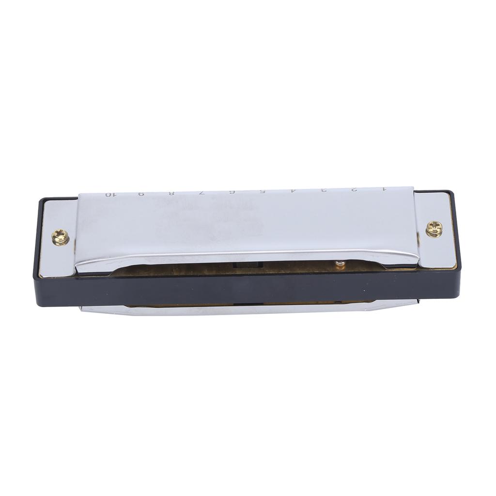 Harmonica 10 Hole 20 Tone G Key Playing Mouth Organ Wind Musical Instrument with Box ClothSilver