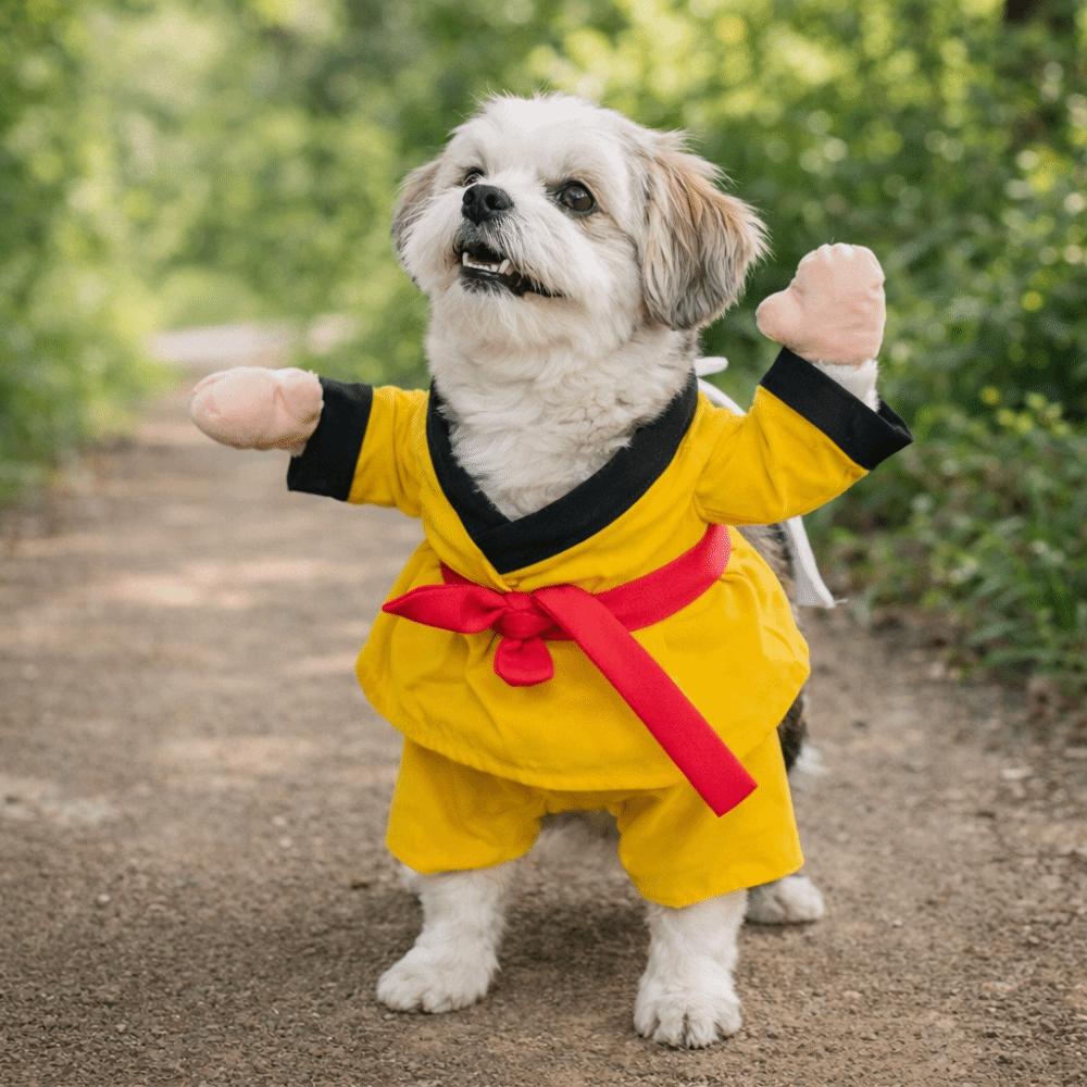 Comfortable Pet Taekwondo Costume Breathable Pet Kung Fu Suit Party Attire