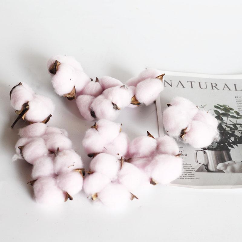 Pistachio Cross Fruit & Fish Scale Pine Gomphrena DIY Dried Flower Weaving Material