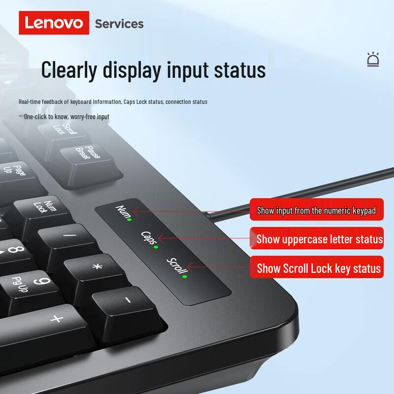 Lenovo Services Computer Peripherals