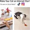 Cat Feather Collar Toys,interactive Cat Toy,funny Cat Stick With Bell & Feathers For Cat Play Exercise