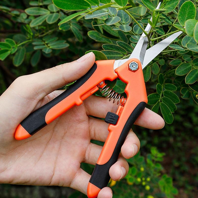 1pcs Gardening Scissors Stainless Steel Garden Branch Pruning for Tree Shears Fruit Picking Scissor Weed Potted Flower Pruners