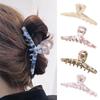 Solid Color Fresh Acetate Hair Claw Hair Clip Simple Hair Claw Cute Cross Shark Clip  Female