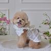 Дышащая летняя одежда для питомцев, кружевной жилет для собаки, товары для питомцев, платье принцессы для щенков и котят