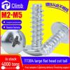 304 Stainless Steel Large Flat Mushroom Head Self-Tapping Screw M2M3M4M5