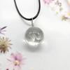 Beautiful Dandelion Necklace Eternal Flower Clavicle Chain Male and Female Couples Crystal Dried Flower Glass Ball Pendant Accessories