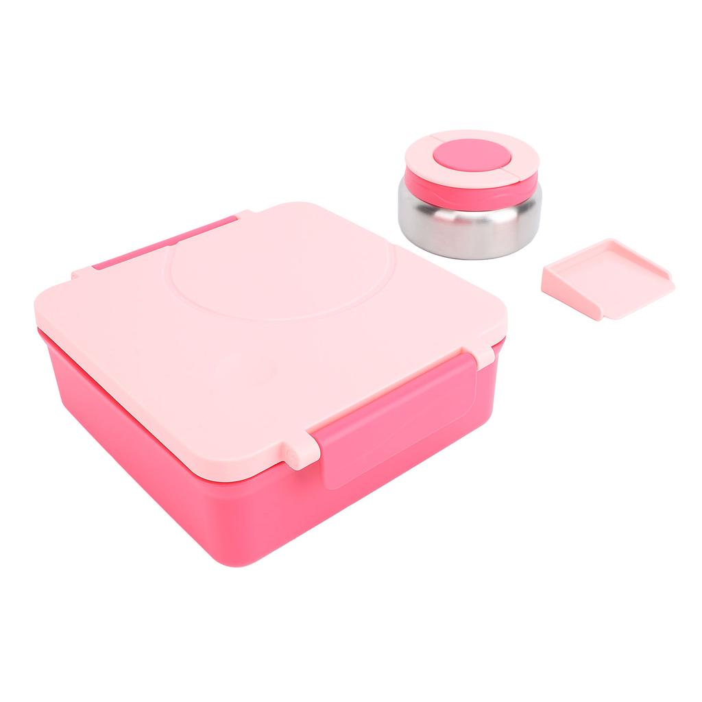 Lunch Container with Handle Sealed Multi Compartments Dishwasher Safe Lunch Box Container for Office School Roseate