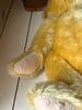 [USED] Antique Steiff teddy bear