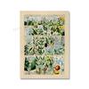 Adolphe Millot Encyclopedia Poster Fruit Botanical Mushrooms Herbs Flowers Canvas Paintings Print Vintage Wall Art Room Decor