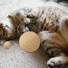 Cat Scratching Ball Multipurpose Cat Toy Sisal Ball Rabbit Scratch Toy Funny Cat Scratching Board Sisal Scratcher Ball For Cats