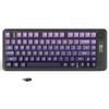 ZIYOU LANG X FREEWOLF M75 Wireless Gaming Keyboard with Smart Display & Knob, BT2.4Ghz Dual-Mode PBT Gradient Keycaps, Rainbow Backlight, TKL 82-Key