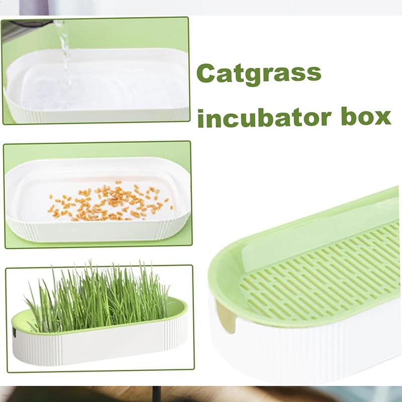 Гидропонный ящик для кошачьей травы, лакомства для кошек, кошачья мята, гидропонный беспочвенный набор для посадки кошачьей травы для легкого выращивания