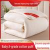 Xinjiang Long-Staple Cotton Quilt Core: Thickened Single/Double for Spring/Autumn - Ideal for Student Dormitories