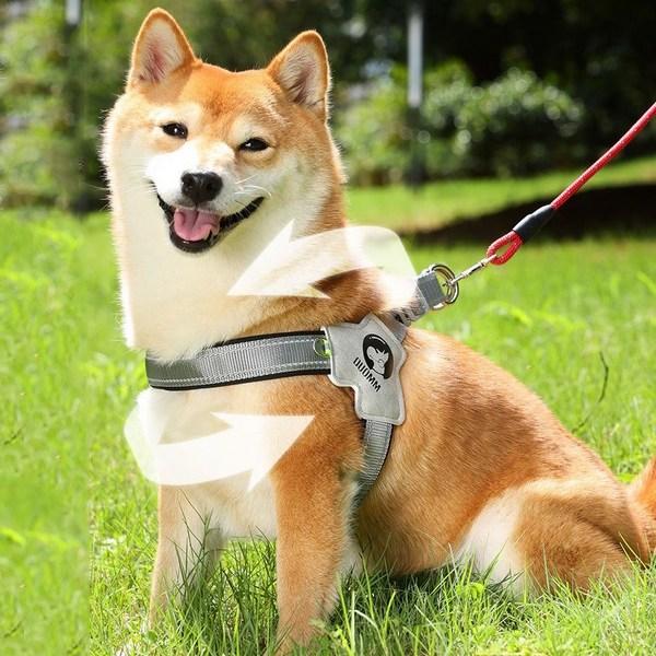 Шлейка для собаки One Q Pet Y-type, ночная с отражением света, черная