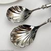 304 Stainless Steel Shell Spoon - Heavy Duty Soup & Bibimbap Utensil, Elegant Dessert Gift