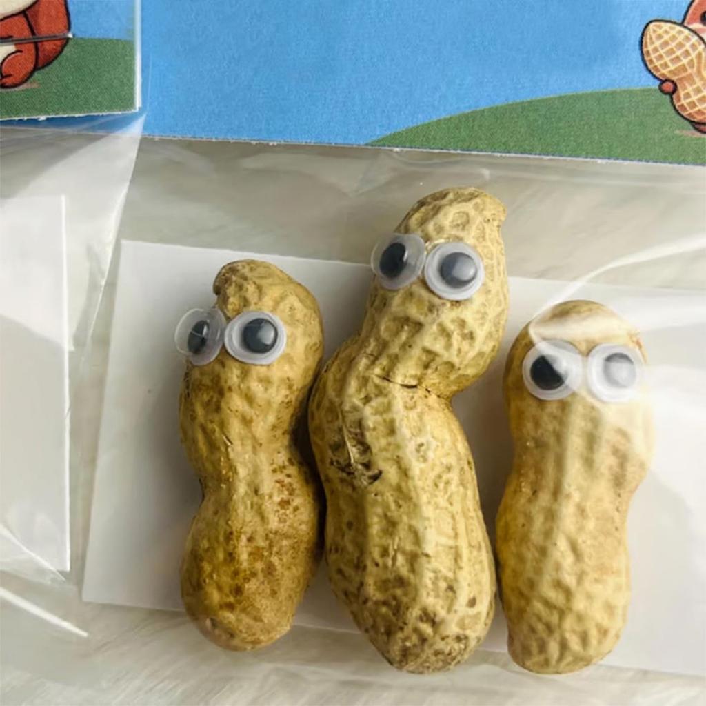 Deez для друга, Deez забавное праздничное украшение, забавный набор орехов в очках, новинка Deez настольное украшение, Deez Pun Lovers украшения для вечеринки