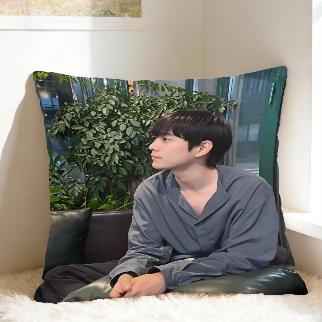 Pillow Case Y-Young-Dae Kim Soft Pillow Cover For Wedding Party Home Decor Morden Pillowcases