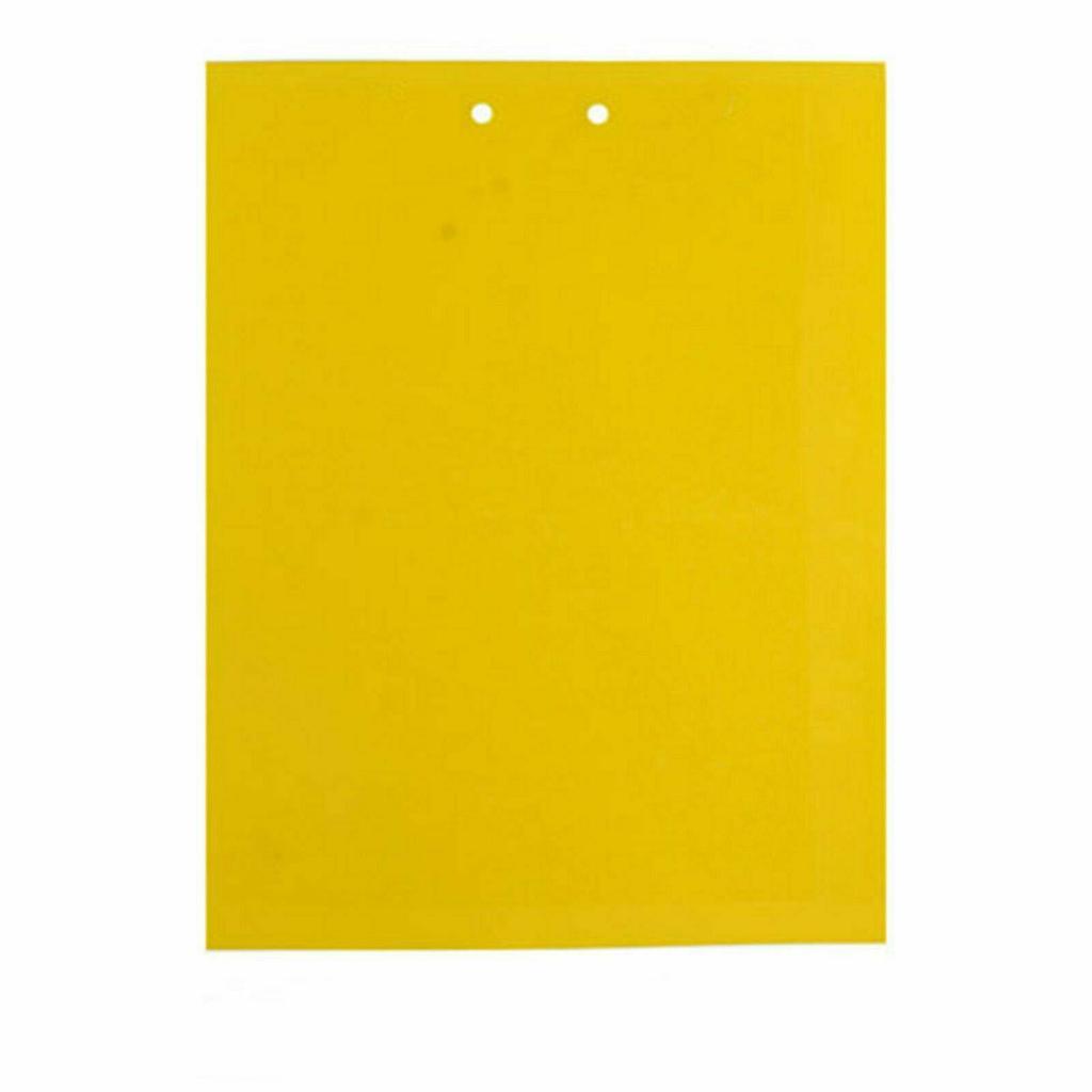 10/20/50/100 шт. Горячая оса лот желтый липкий клей бумага ловушка для насекомых убийца насекомых