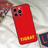 Tigray Flag Theme Phone Case For iPhone 15 14 12 11 13 16 17 Pro Max 15 16 Plus 13 Mini 16e 17 Air Funda Cover