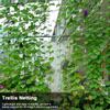 Trellis Netting Plant Support Net for Climbing Plants Vegetables Fruits Vine Flowers