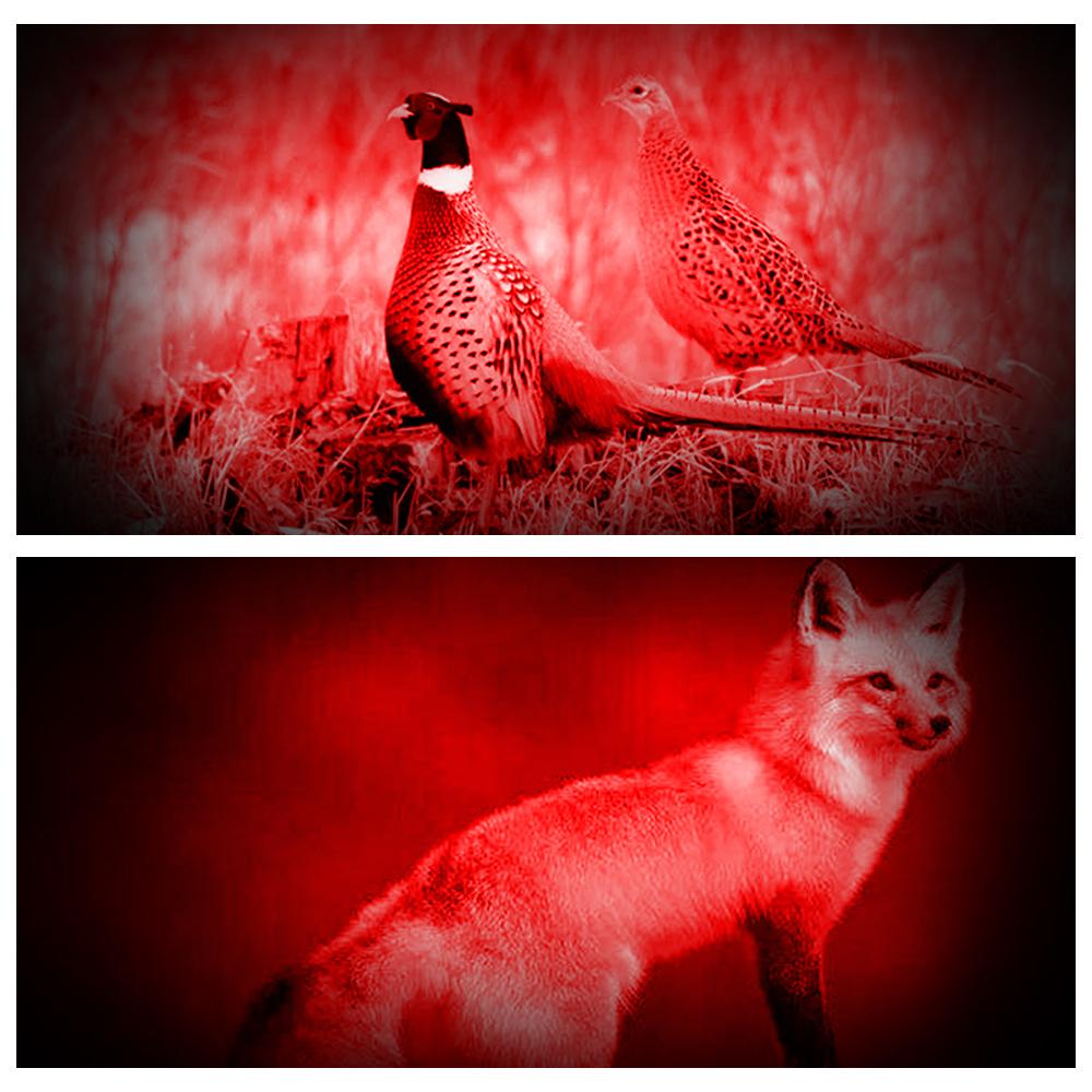 Powerful Red Light Flashlight Tactical Torch for Hunting 1-Mode Predator Handheld Torch+Clip+Tail Switch+18650+Charger Set