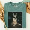 Funny Llama Drinking Wine Shirt, Animal Meme Graphic Tee, Sarcastic Funny Gift Idea, Wine Lover Birthday Gift, Party Animal Tshirt, Best