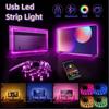 New 5V LED Light Strips RGB Flexible Lighting Decor Strip White Warm with USB Cable Plug Atmosphere Light Strip TV Background