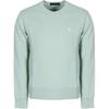 Polo Embroidered Logo Crew Neck Pullover Long Sleeve Sweatshirt Men Sweatshirt Green 710916689-012