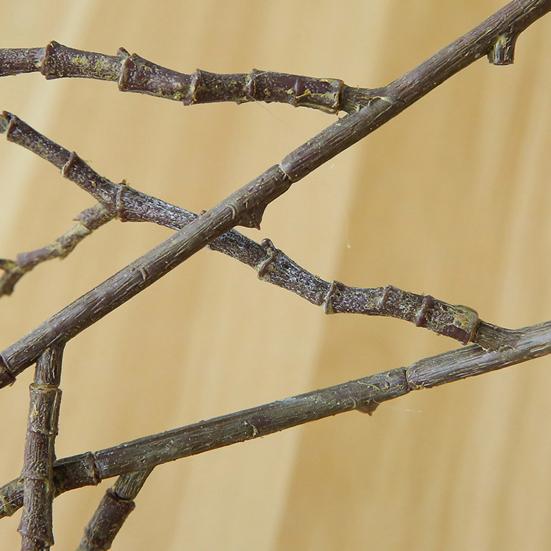 Прочный искусственный завод, многоразовый цветник, не выцветает