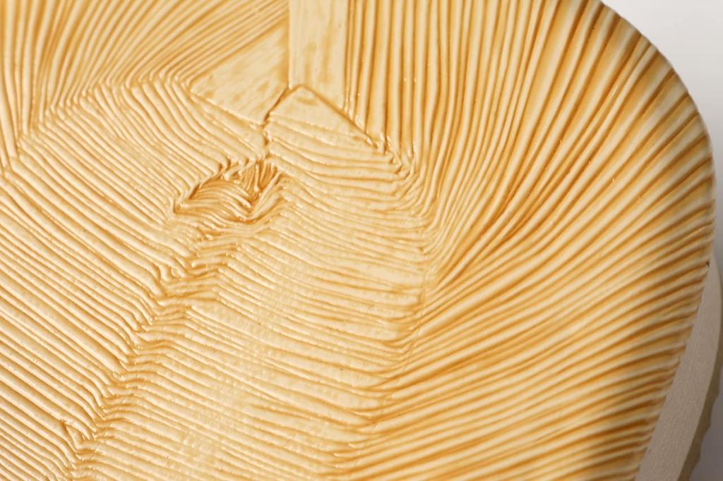 Setta Sponge Cushioned and Gentle On Yellow White M [Edoten] Sandals, Sole, Legs, Tatami,