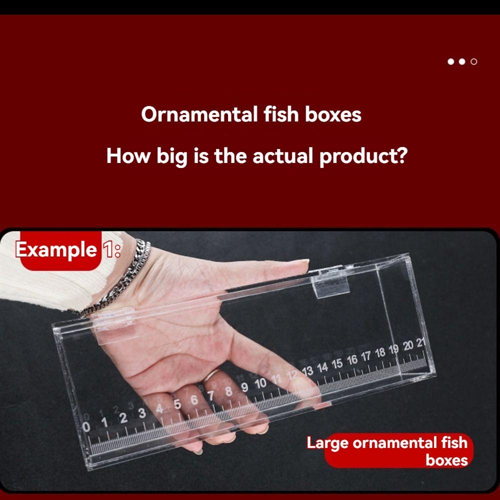 Transparent Fish Viewing Box Micro Landscape Mini Desktop Goldfish Bowl Dustproof Broken Resistant Fish Breeding Tanks
