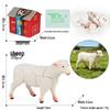 4D Stereo DIY Animal Model Kit: Eagle, Scorpion, Gecko, Rattlesnake, Spider, Lizard, Squirrel, Hedgehog
