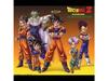 [CD] DRAGON BALL Z BGM COLLECTION Обычное издание Аниме Песня OST COCX-3356 НОВЫЙ