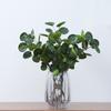 Simulation Plant Feel Gold Leaf Home Decoration Bonsai Fake Flower Photography Props Simulation of Green Plants