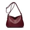 Bags for Women's New Crossbody Bags for Women Fashionable and Atmospheric Large Capacity Middle-aged Women's Shoulder Bag