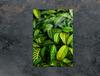 GLASS CUTTING BOARD 35x52 Leaf