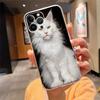 Чехол для телефона Для iphone 17 Pro Max Air 16 15 14 13 Pro Max 15 16 Pro 15Plus Мейн-кун Кот