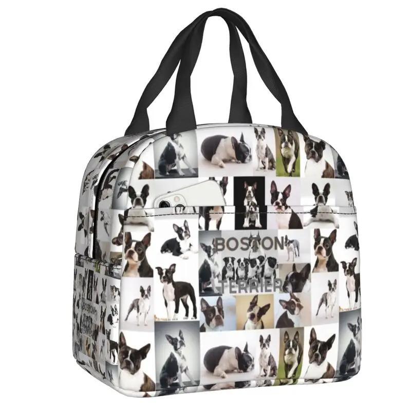 Бостонские терьеры любят хозяек, собак, портативные ланч-боксы, герметичные охладители, термосумки для еды, школьные дети