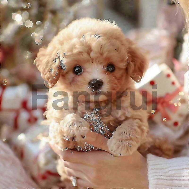 For Robot Dog For Adults Ai Robotic Dog My Realistic Robot Puppy That Acts Like A Real Puppy Walking-New Arrival