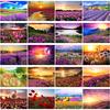 DIY 5D Diamond Painting Sunset Flowers Scenery Embroidery Cross Stitch Kits
