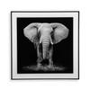 Cuadro Cristal ELEFANTE