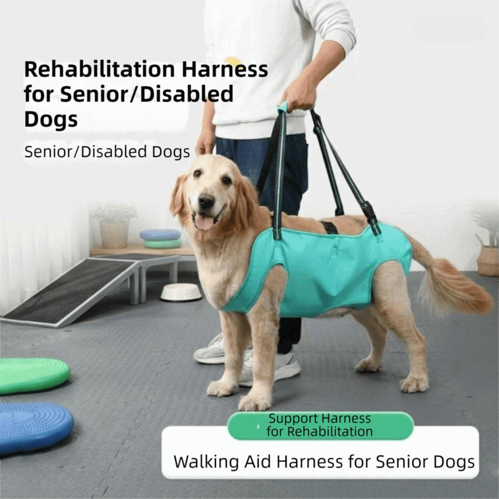 Thickened Grip Dog Lift Harness Adjustable Pet Auxiliary Vest Dog Assistance Strap Disability Aid