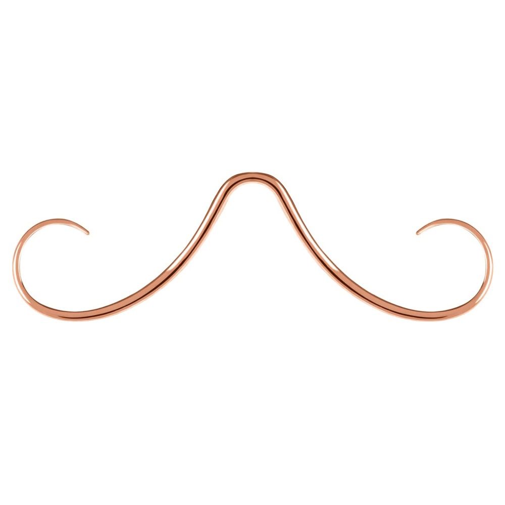 Пирсинг для тела Кольцо в септум с усами Хирургическая нержавеющая сталь Кольцо в нос с усами