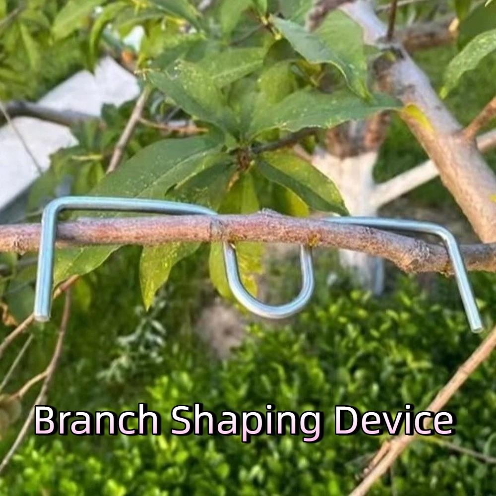 10Pcs Shape Fixator Branch Shaping Device Metal Branch Bending Tools Fruit Tree Training