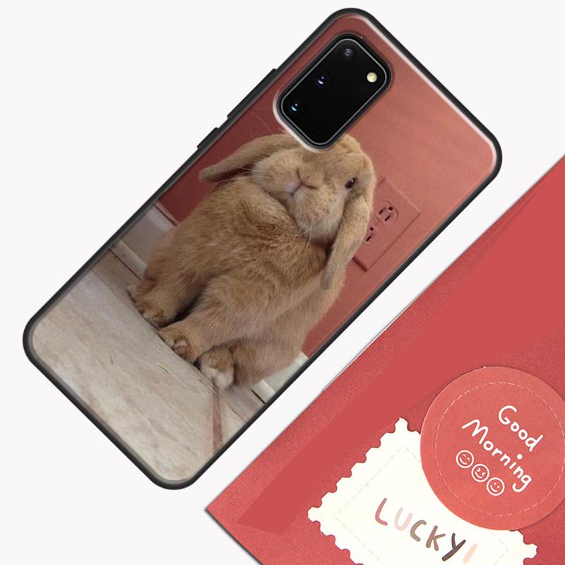 Чехол для телефона с кроликами 'Bunny' для Samsung Galaxy S25 S26 Ultra S20 S21 S22 S23 S24 Plus S9 S10 S25 FE Защитный корпус