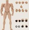 Toys & Hobbies [TOYBARJAPAN] 1/12 Scale Action Figure JET STUDIO TS-MB-002 Male Muscle Body
