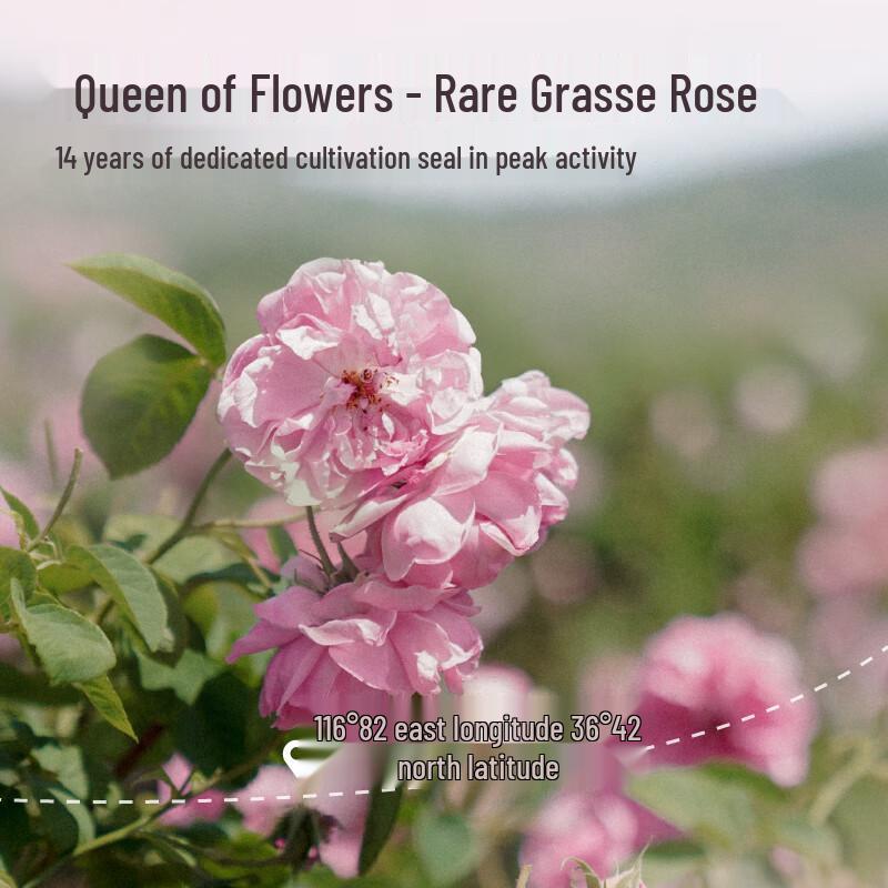 Half Acre Field Rose Hydrating Toner